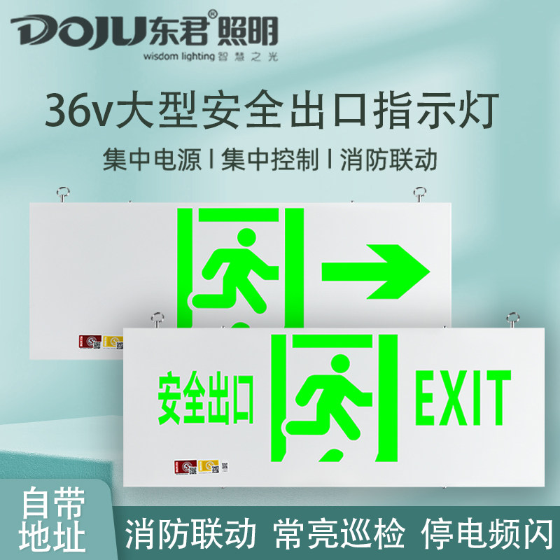 东君36v大型疏散指示灯A型低压消防应急集中电源安全出口紧急疏散