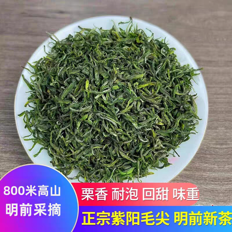 2025新茶绿茶陕西安康紫阳富硒茶产区茶叶明前紫阳毛尖高山茶栗香