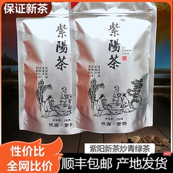 2025新春茶陕西安康紫阳富硒茶产区 紫阳绿茶炒青茶毛尖散装500克