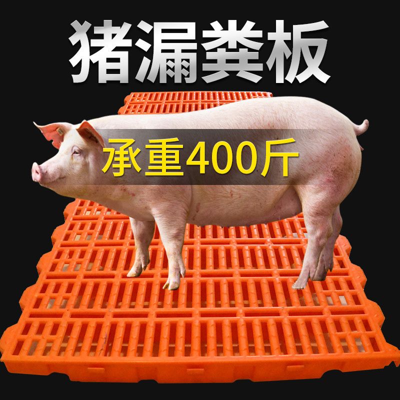 猪漏粪板猪用母猪产床养殖漏粪板
