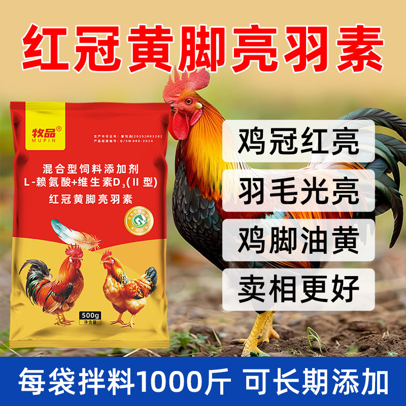 禽用红冠黄脚亮羽素阉鸡番鸭公鸡鸡冠红润羽毛光亮皮爪金黄添加剂
