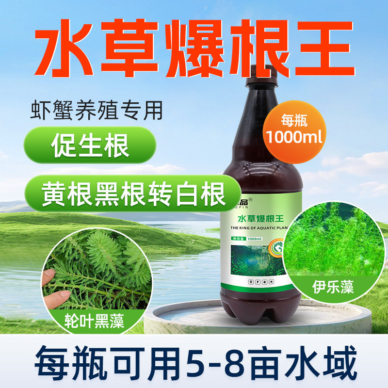水产养殖水草爆根王虾塘蟹塘培伊乐藻调水净水水草壮根肥生根素