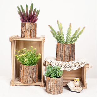 天然原木桩花盆创意圆形树皮纹理多肉植物插花花器盆栽家居装 饰