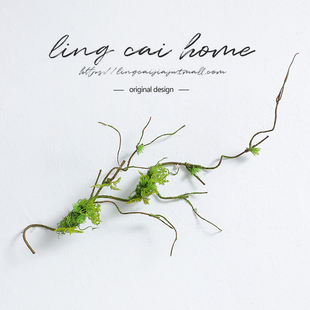 柳藤摆设田园摆件幼儿园森系植物角户外装饰园区景观别墅庭院花园