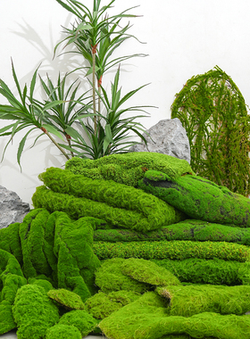 仿真苔藓草皮假苔藓球微景观盆景造景加厚人造苔藓草坪庭院阳台
