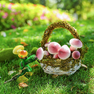 幼儿园自然角种植区装饰编织干花花篮草编花盆摆件客厅插花竹篮子