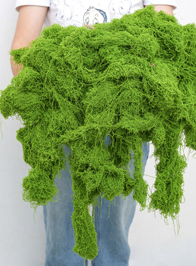仿真绿植造景假苔藓青苔植物装饰摆放室内玄关阳台微景观草布置