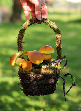 房子花篮幼儿园森系植物角摆件