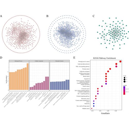 生信分析服务GEO TCGA数据挖掘生存预后分析单细胞转录组测序指导