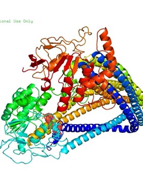 蛋白分子对接Discovery Studio分析3D结构2D结构图PyMOL