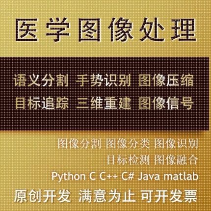 Python代编医学图像分割深度学习语义分割计算机视觉生成对抗网络