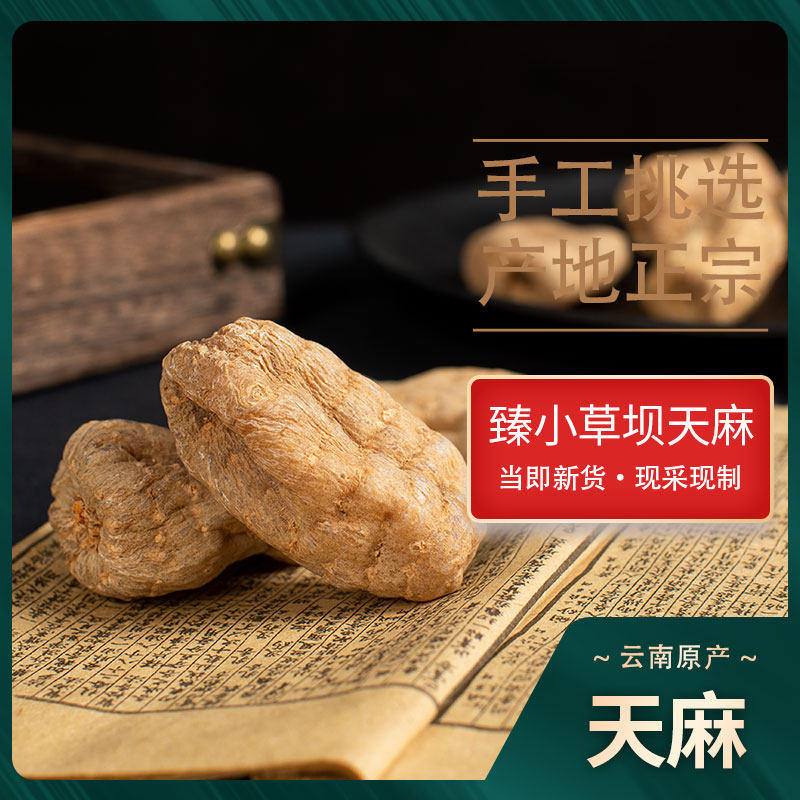小草坝天麻野生特级云南昭通干天麻新鲜可免费切片打粉