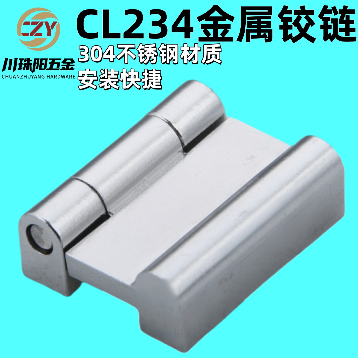 CL234-304不锈钢铰链配电箱