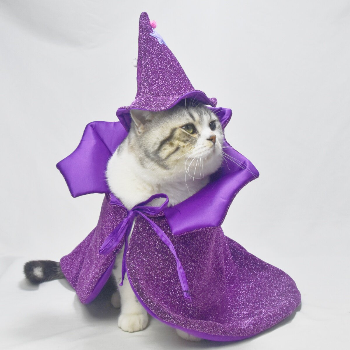 猫猫狗狗聚酯纤维披风