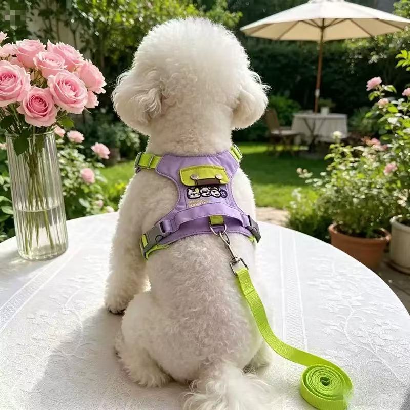 宠物狗狗牵引绳中小型犬背心式胸背带泰迪比熊雪纳瑞宠物遛弯胸背