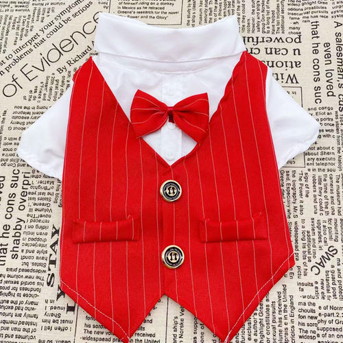 宠物狗狗泰迪小型犬猫咪春夏季狗狗衣服薄款西服衬衫西装婚纱礼服 - 封面
