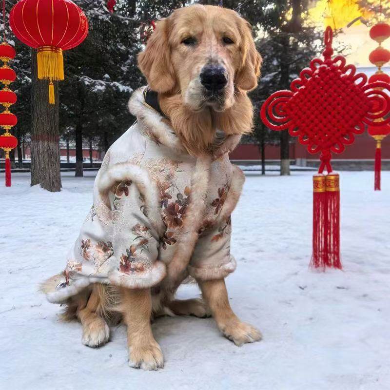 中大型狗狗唐装礼服新年喜庆新衣金毛边牧拉布拉多冬季保暖两脚衣