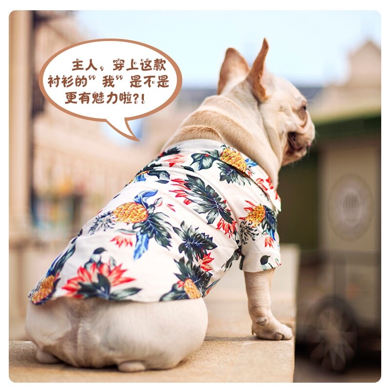狗狗衣服薄款衬衫雪纳瑞比熊法斗