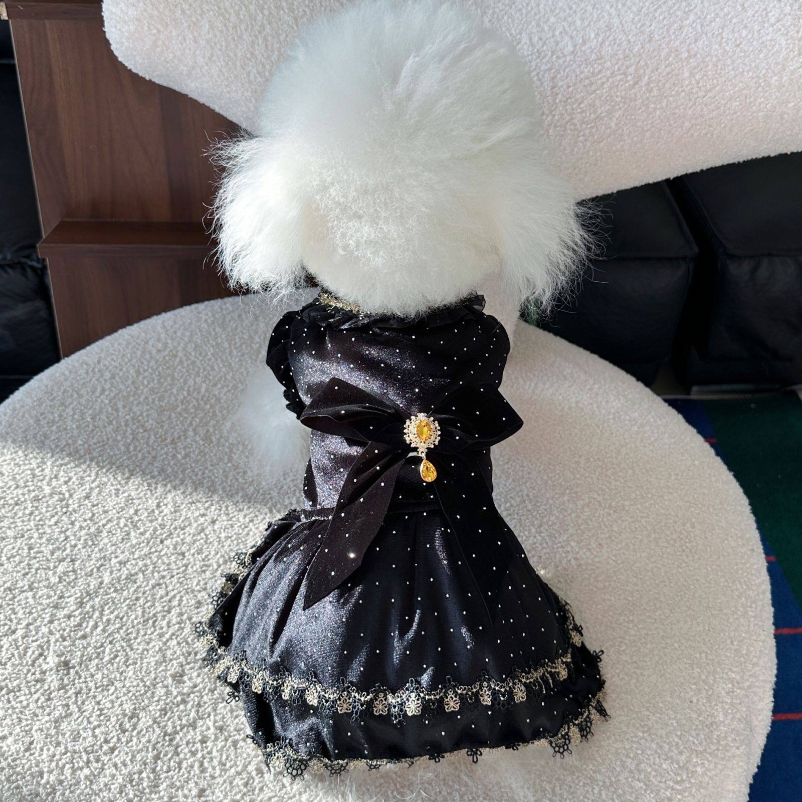 宠物黑色波点蕾丝公主裙狗猫小型服装蝴蝶结小礼服比熊泰迪通用款
