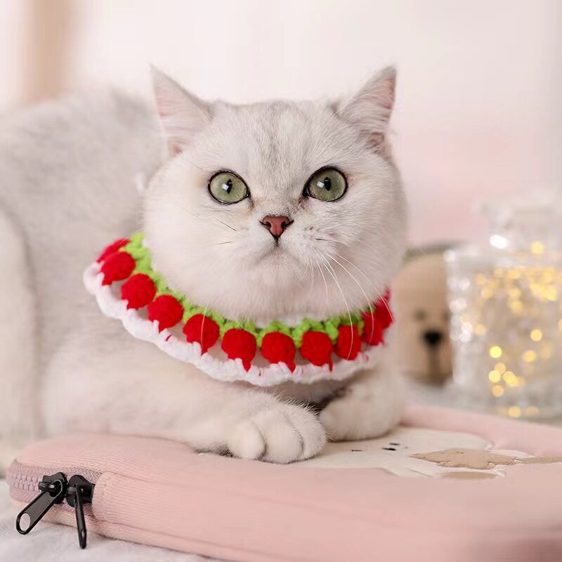 猫咪项圈手工编织小猫脖圈幼猫头套狗狗猫咪颈圈猫猫饰品脖子项链