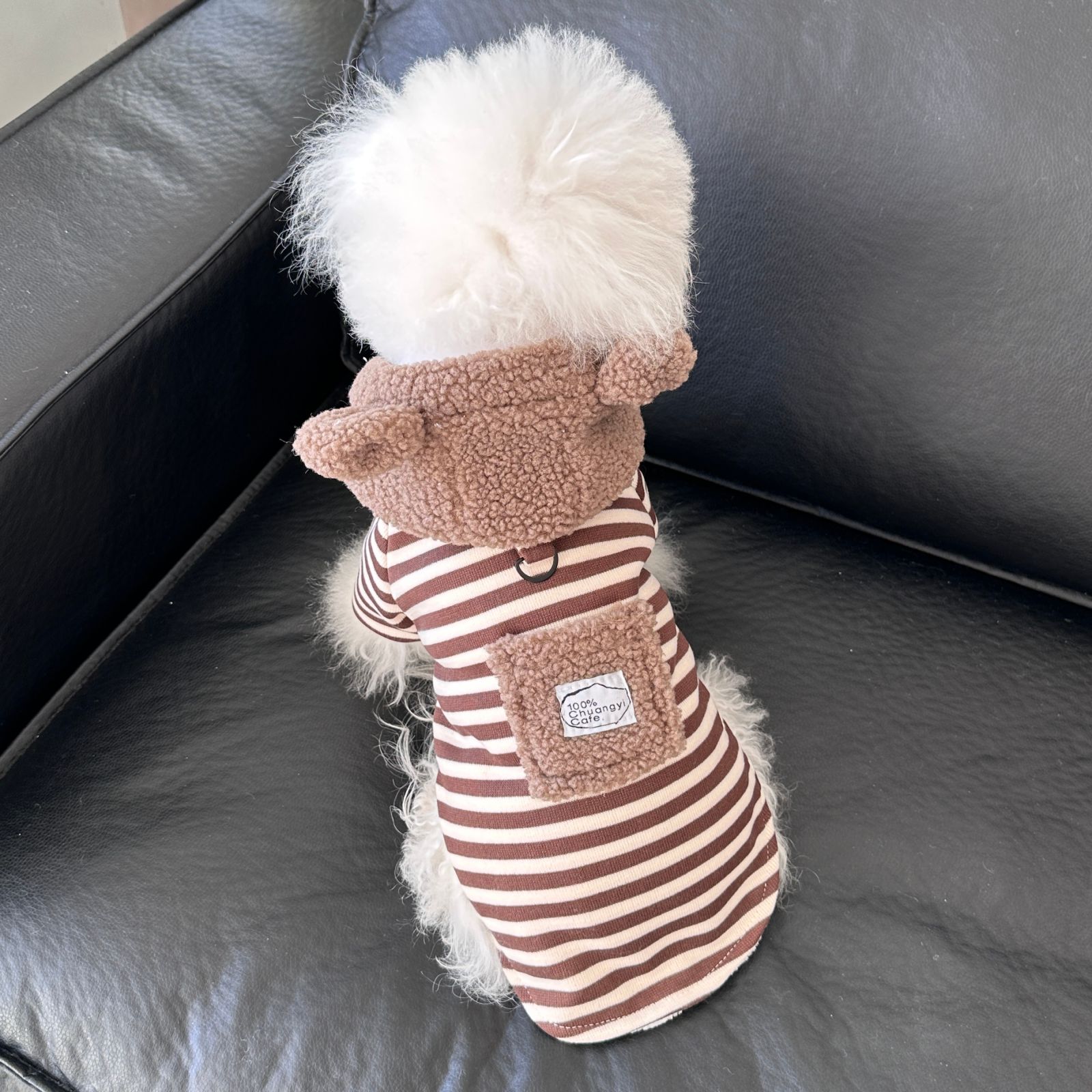 宠物狗狗衣服秋春连帽毛绒外套可牵引小型犬博美泰迪比熊两脚衣服
