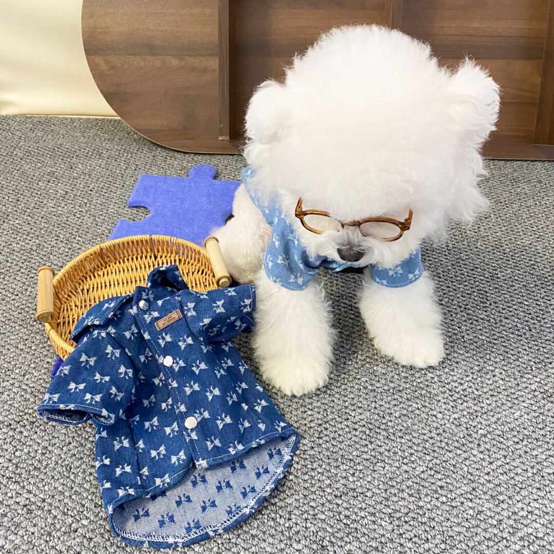 宠物衣服春夏短袖牛仔衬衫比熊泰迪衣服英短美短衣服狗狗牛仔衬衫