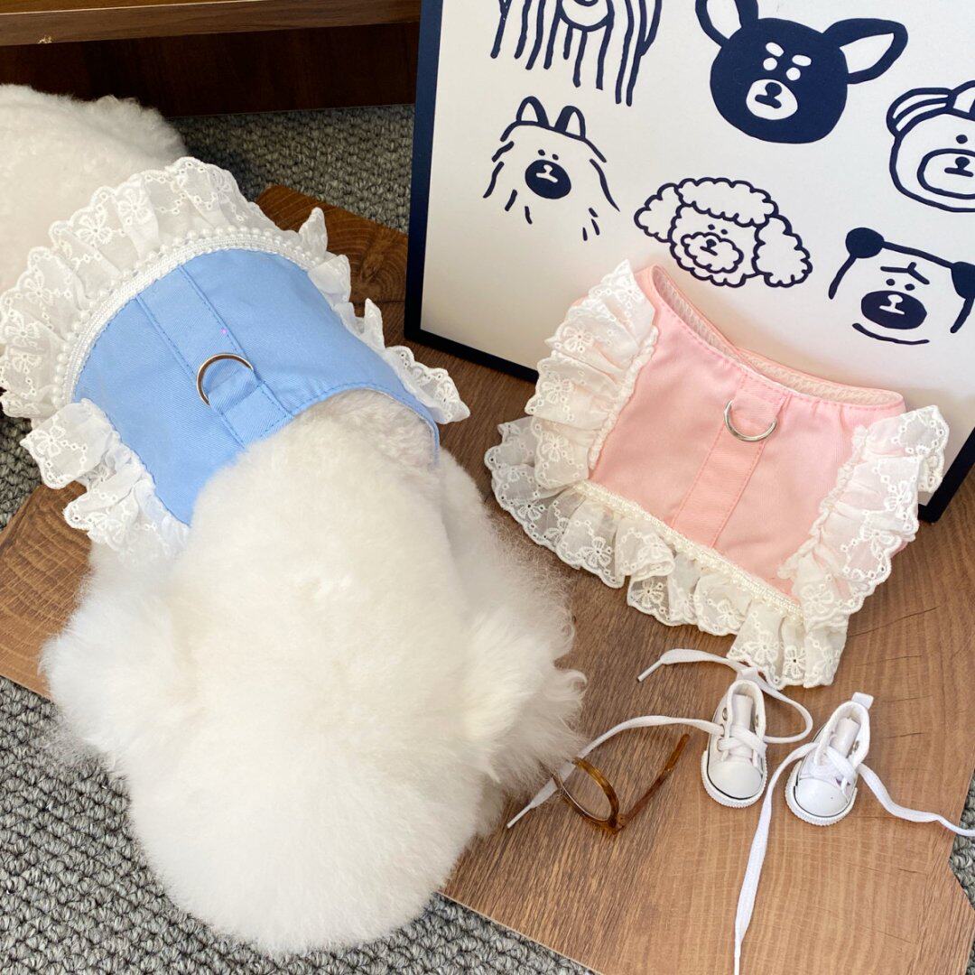 狗狗猫咪牵引衣服外出专用猫咪幼犬小泰迪比熊博美胸背带送牵引绳