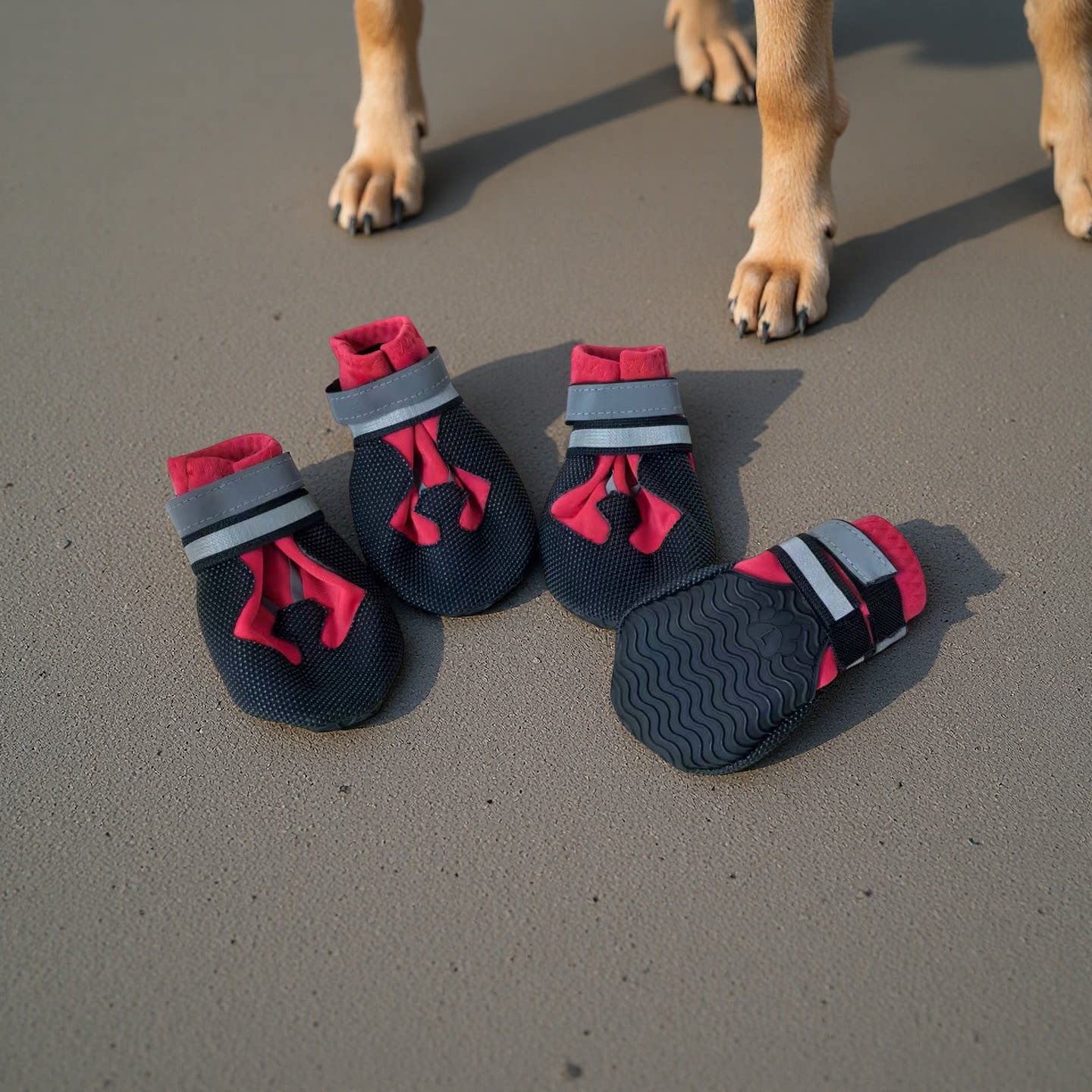 宠物法斗金毛狗狗鞋子软底泰迪鞋一套比熊小中大型犬鞋防滑耐磨款