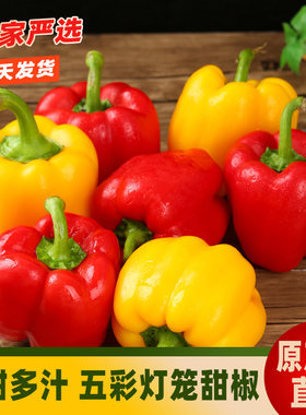 新鲜水果彩椒七彩灯笼红色黄色圆