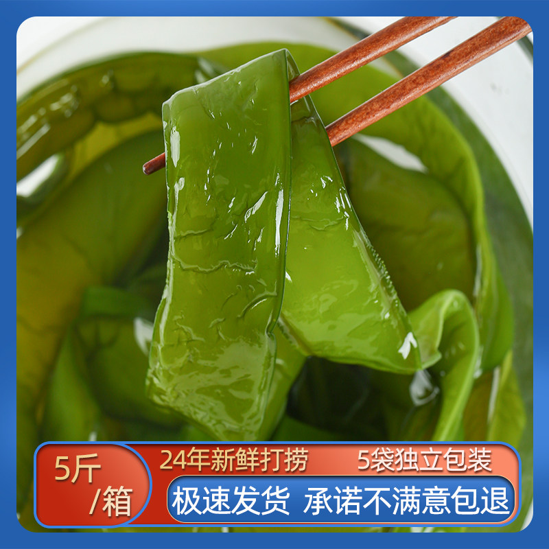 新鲜海白菜海藻盐渍海带5斤整箱裙带菜裙带梗非干货海裙菜海菠菜