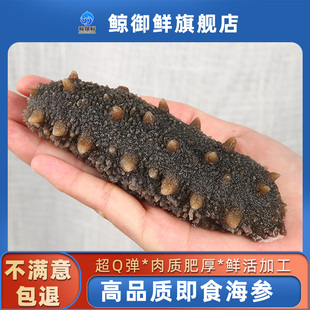 鲸御鲜海参即食大连鲜食海参自己吃鲜蒸辽刺参冷冻送礼年货旗舰店