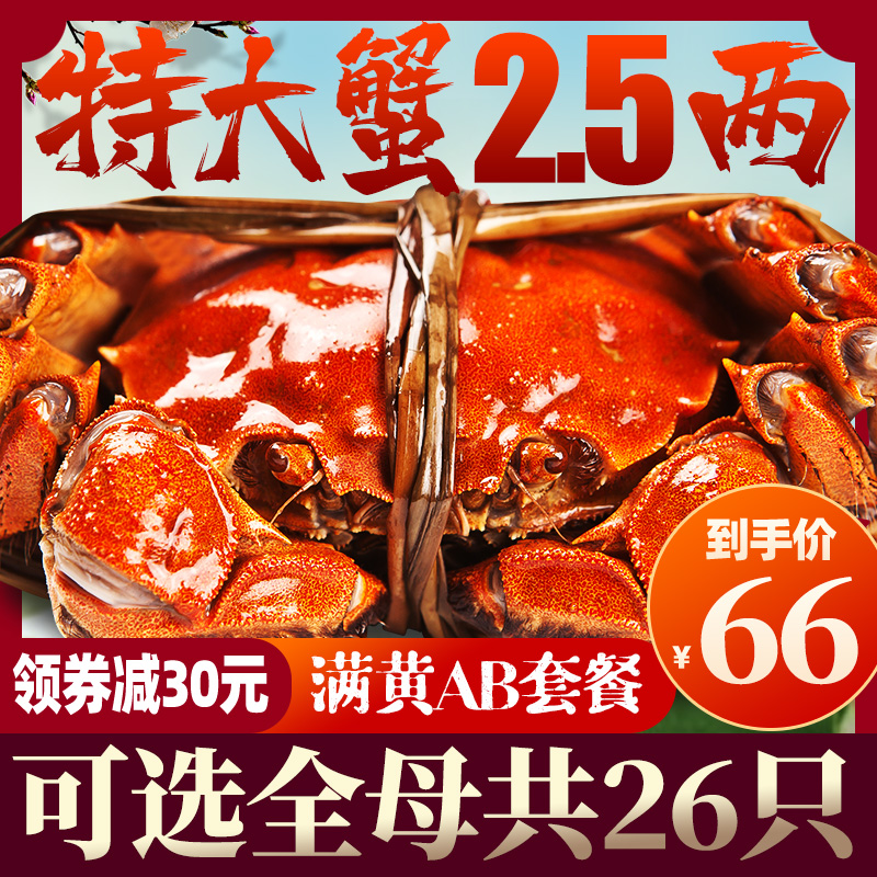 大闸蟹鲜活特大螃蟹现货六月黄26只清水全公母蟹海鲜水产河蟹礼盒