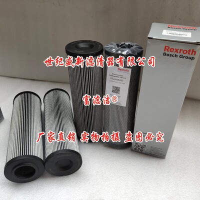 R928006863液压油滤芯力士乐2.0250H10XL-A00-0-M滤器盾构机配件