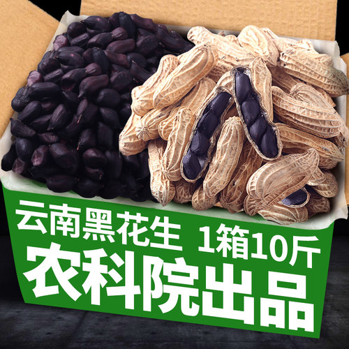 新货云南黑花生生熟可选整箱批发