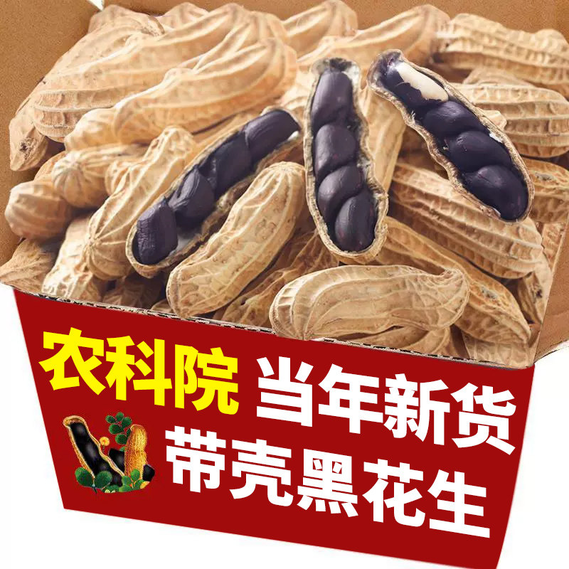 新货黑花生带壳生熟云南特产图片