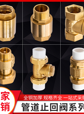 顶建20ppr4分6止回阀全铜PE水表立卧式马桶pvc管道单向阀逆止热熔