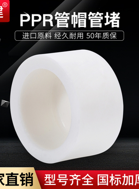 顶建管帽管堵管盖4分20 25 32 40 50 63PPR水管配件自来水管接头