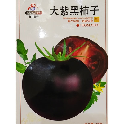东北大紫黑柿子紫红色 露天阳台露地菜园大紫黑番茄种子100粒左右