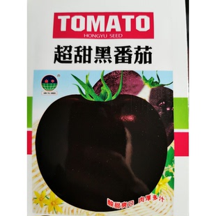 超甜黑番茄种子 酸甜特别好吃成熟后紫红色 单果300克左右大果
