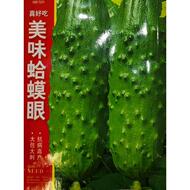 蛤蟆眼黄瓜种子:皮薄脆甜水果黄瓜 东北老品种 蔬菜种子
