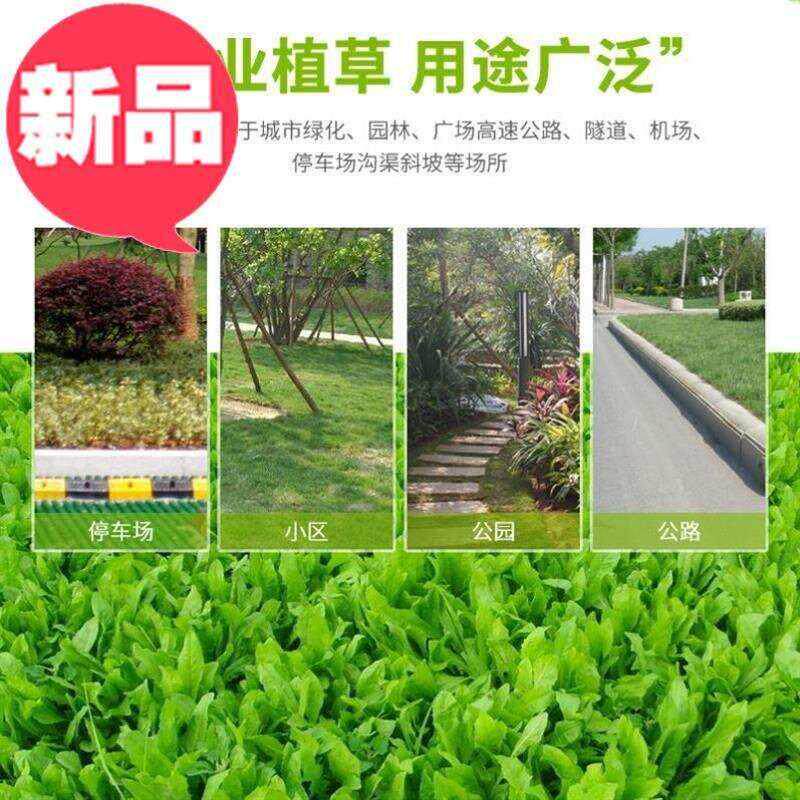 护坡公园园林道路绿3化草坪砖通用生态停车场车道绿化植草格