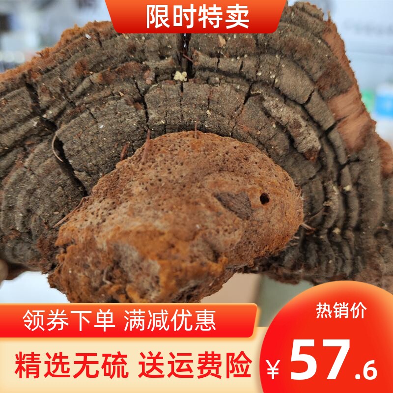 源滋福海南产树舌灵芝地道平盖大灵芝可切片打粉500g实体老店图片