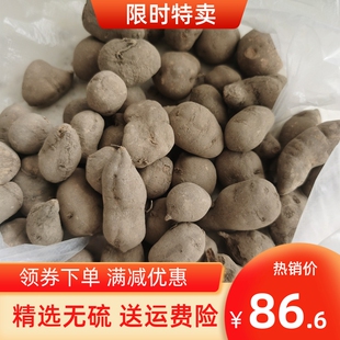 浙江新鲜野生三叶青中药金线吊葫芦丝线吊金钟石老鼠免费打粉切片