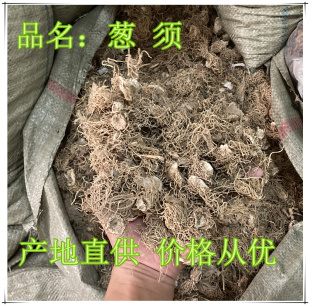 葱根葱须旱地红葱须子 药引子偏方中药材 晒干发货无杂质包邮