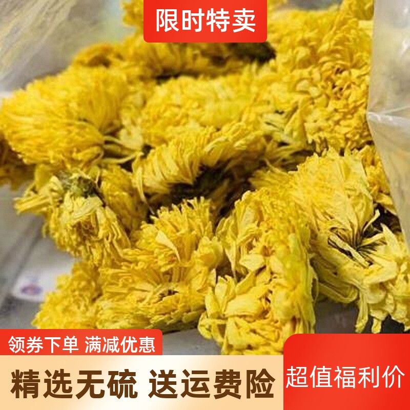 大菊花 散装 500克 金丝皇菊 一朵一杯 大朵 黄菊花 贡菊 胎菊