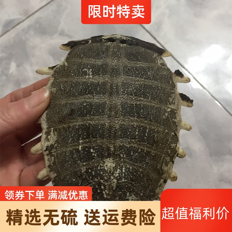 中药材 生鳖甲500克 包邮 鳖甲壳 甲鱼壳 鳖盖子  可免费打粉