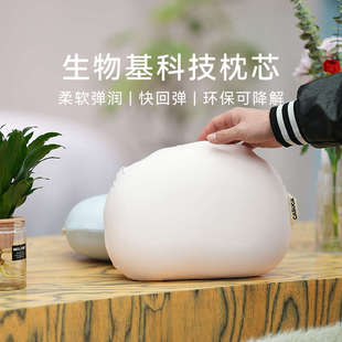 CASUCA mini豆豆枕可降解枕芯小抱枕靠枕便携午睡枕头学生趴睡枕