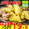 云南小黄姜生姜新鲜包邮新姜5斤罗平小黄姜新鲜蔬菜高山月子姜