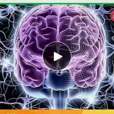 郑大徐高磊脑神经反射疗法系列课程躯体内脏心理疑难杂症诊疗29