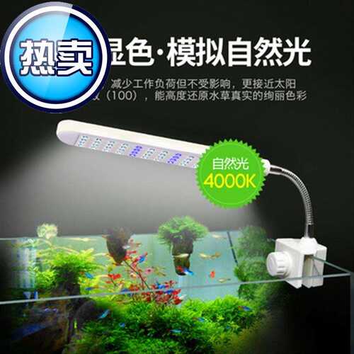 海水缸夹灯素材模板 海水缸夹灯图片下载 小麦优选 海水缸夹灯素材模板 海水缸夹灯图片下载 小麦优选